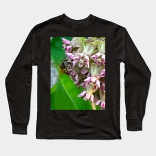 Honeybee On A Milkweed Long Sleeve T-Shirt